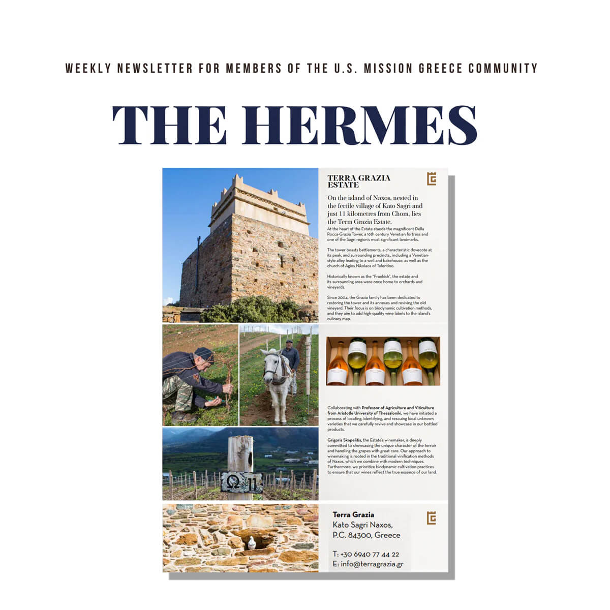 Newsletter THE HERMES