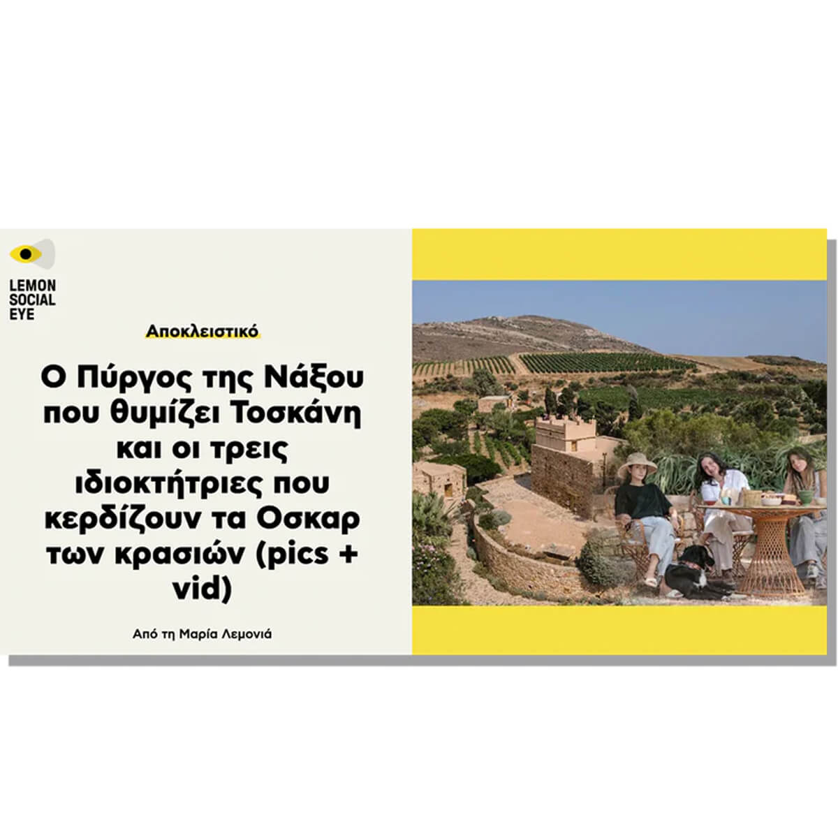 News portal LEMON SOCIAL EYE