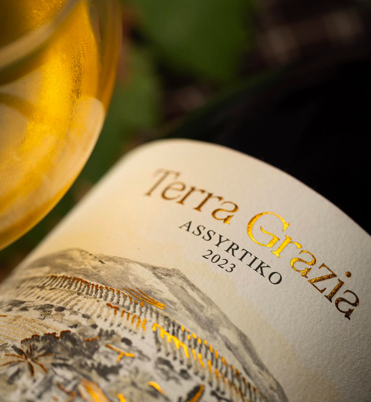 Assyrtiko 2023