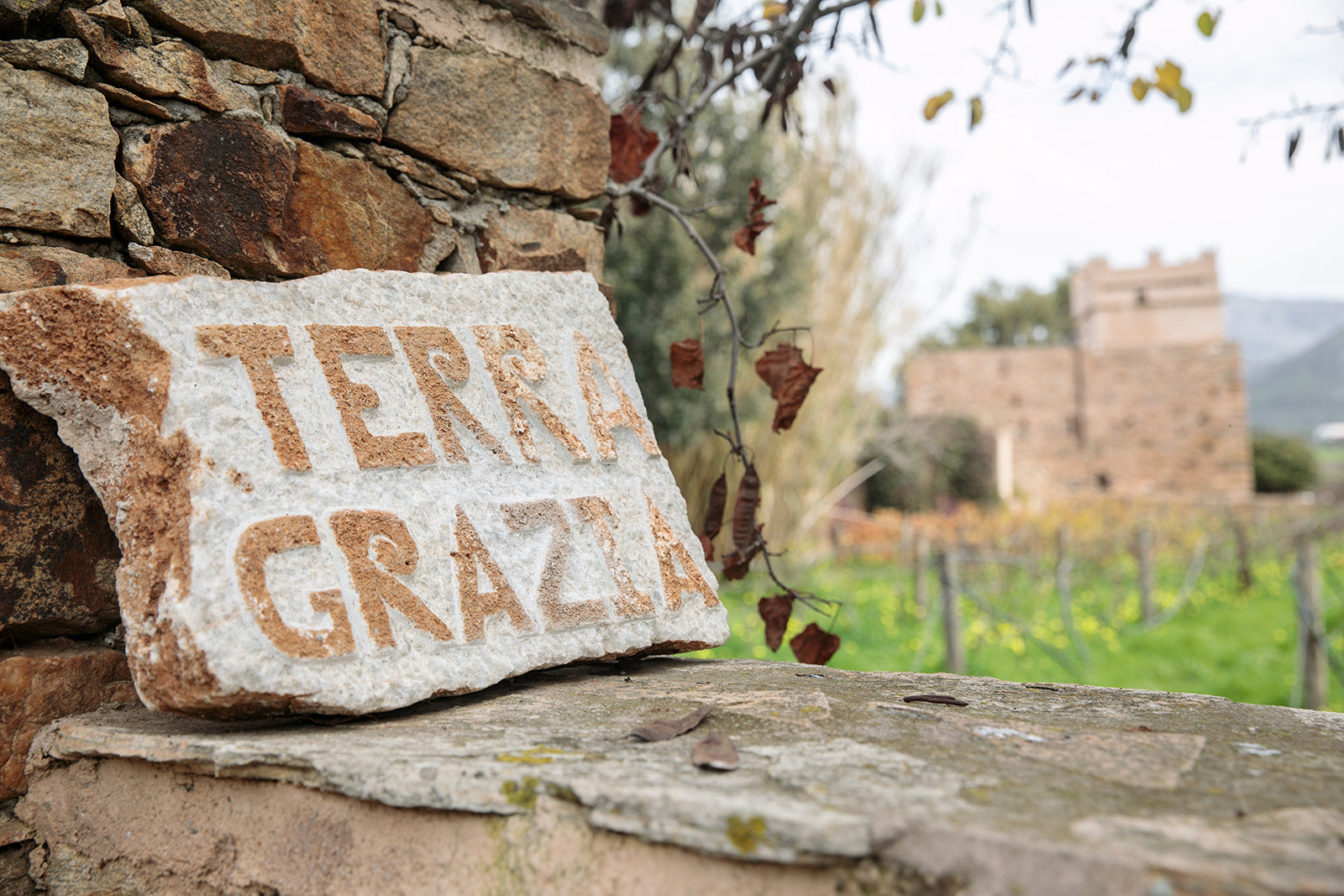 Wine Tasting & Vineyard Tour