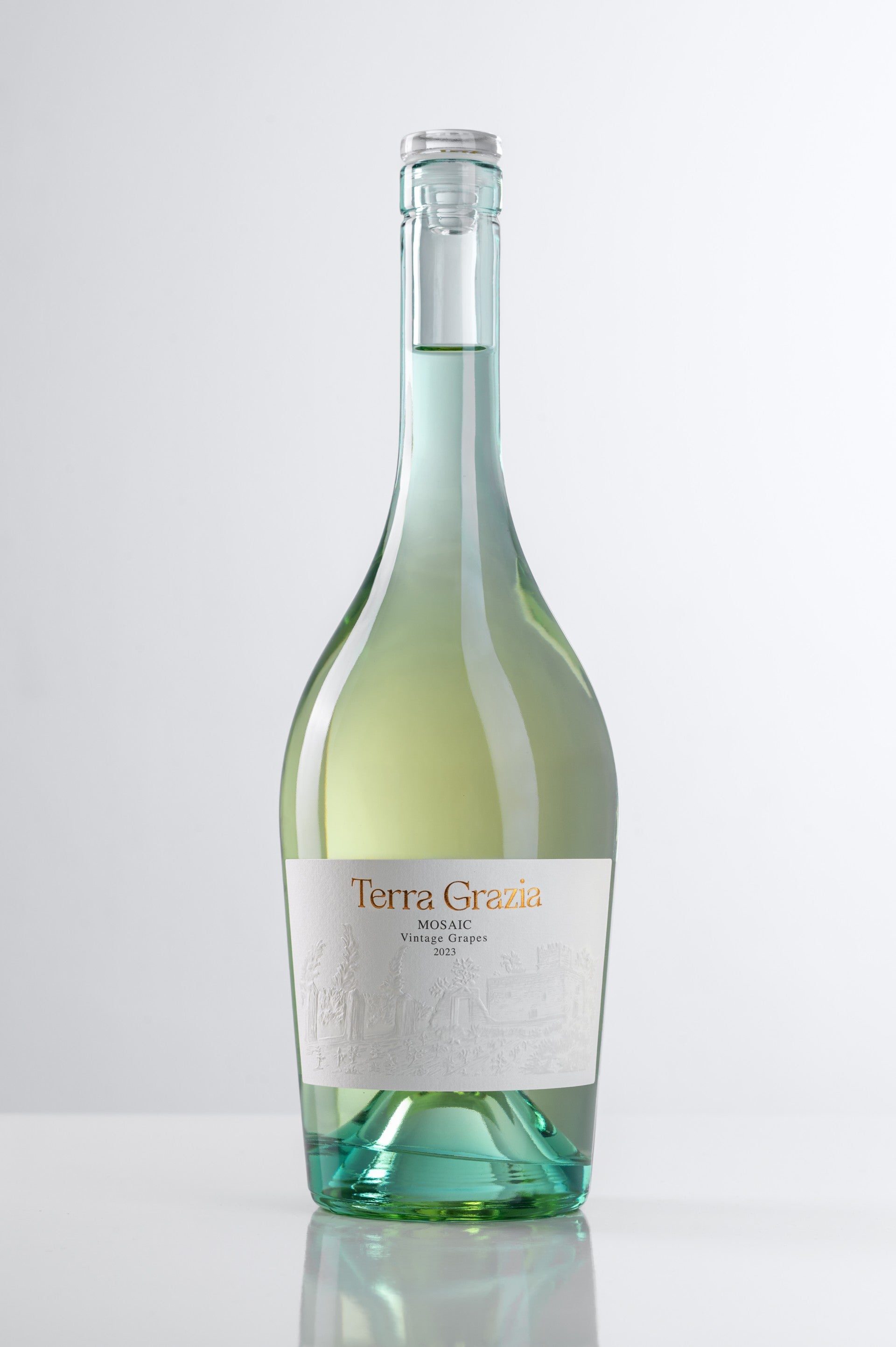 Mosaic Vintage Grape Varieties 2023