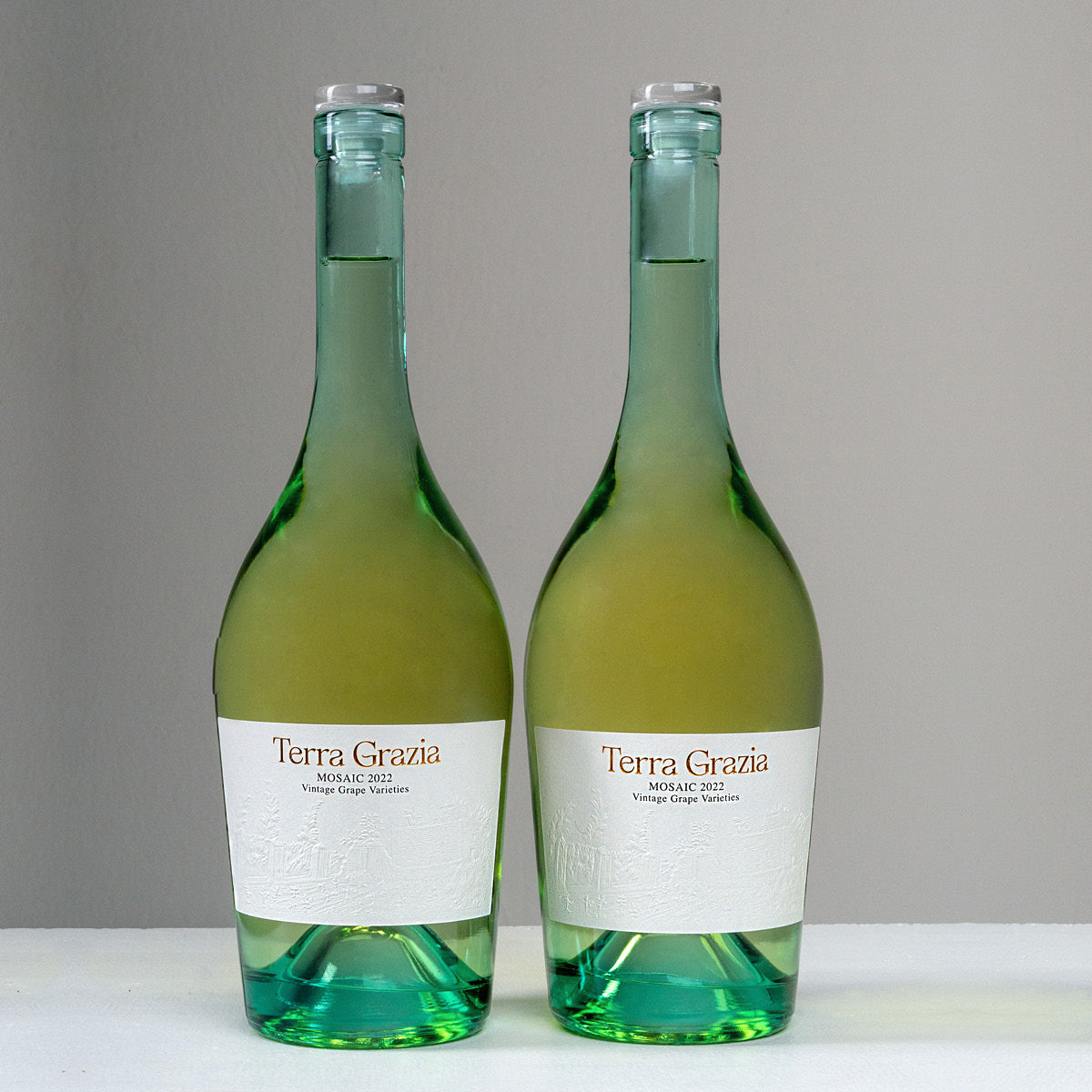 Mosaic Vintage Grape Varieties 2022