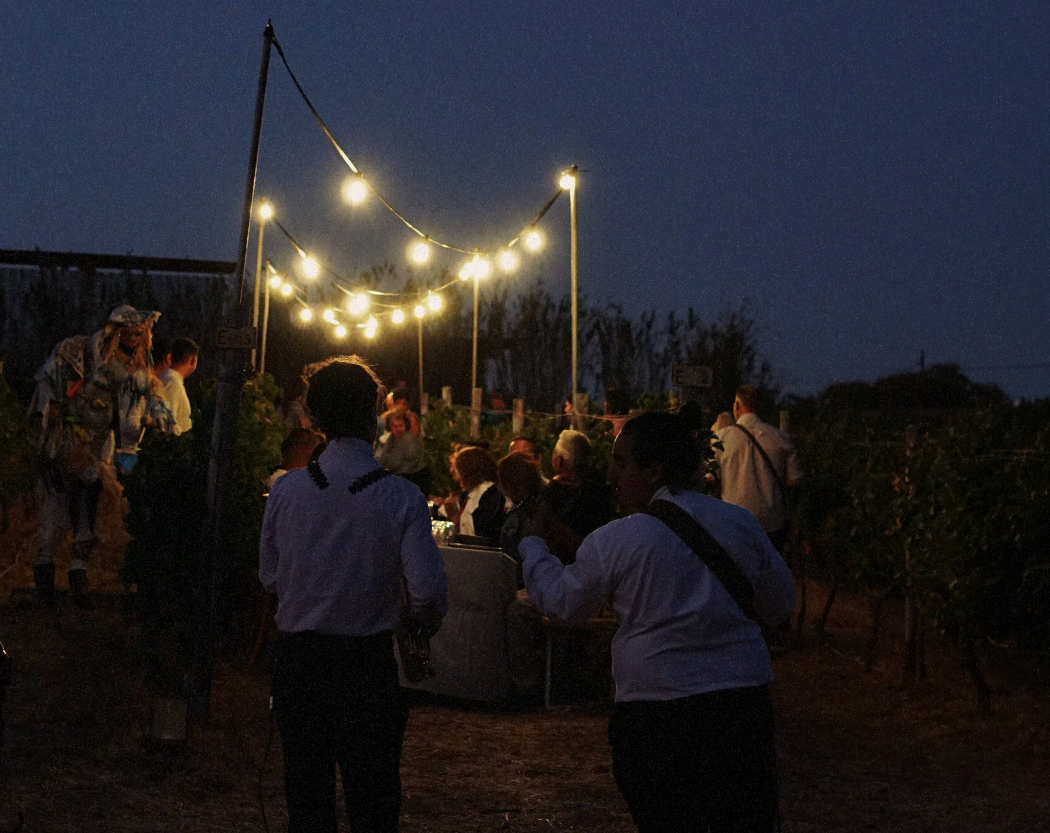 Το Terra Grazia Υποδέχεται τις Στιγμές σας