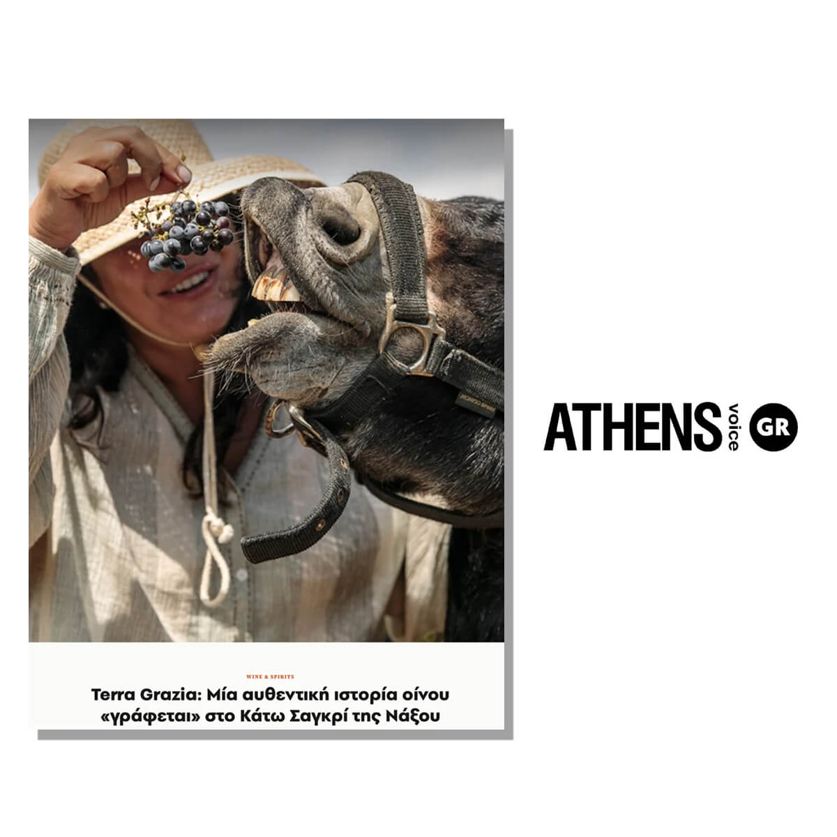 Περιοδικό ATHEN'S VOICE