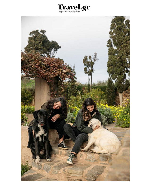 Οινικό προφίλ Νάξου | travel.gr