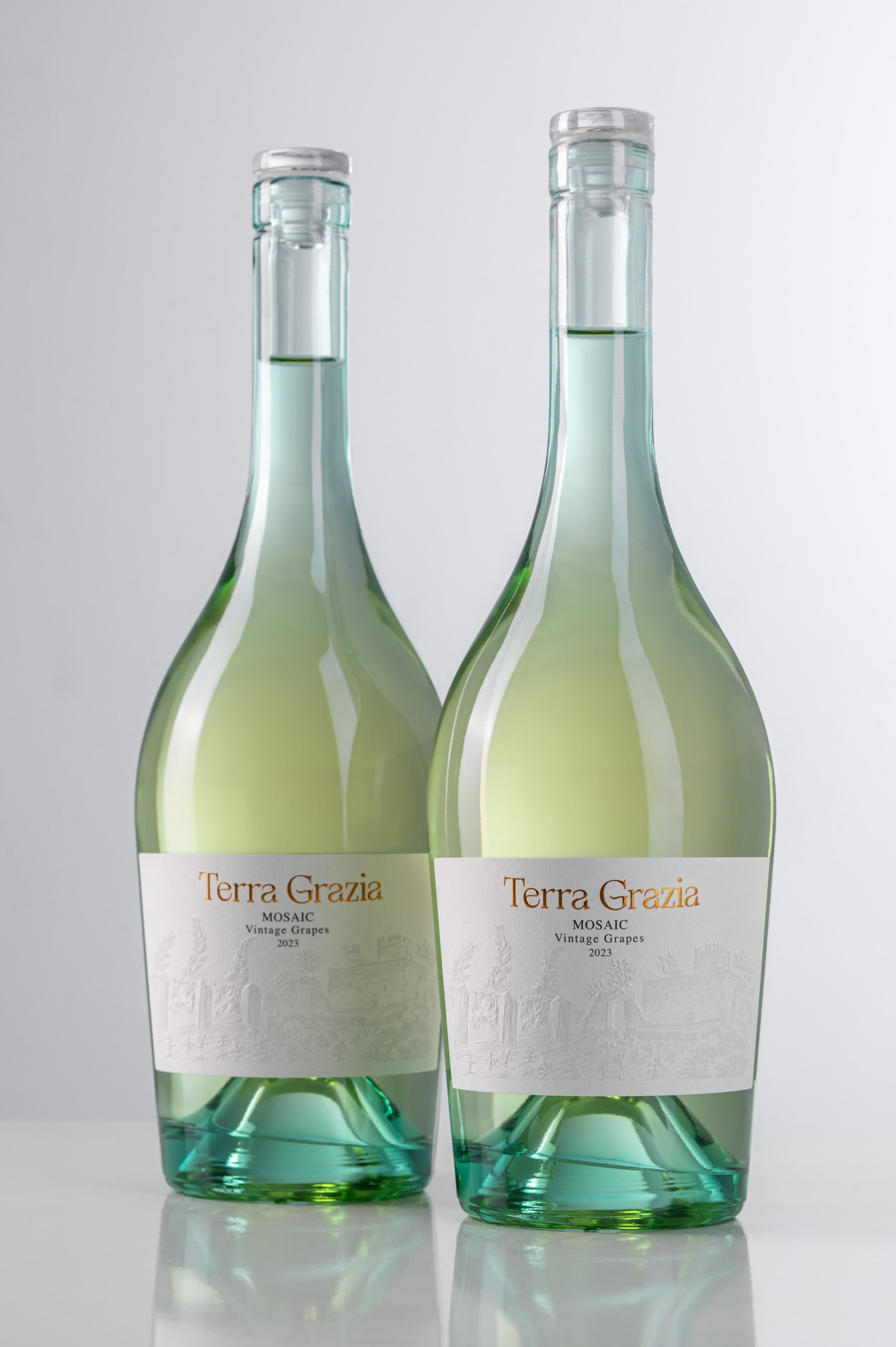 Mosaic Vintage Grape Varieties 2023